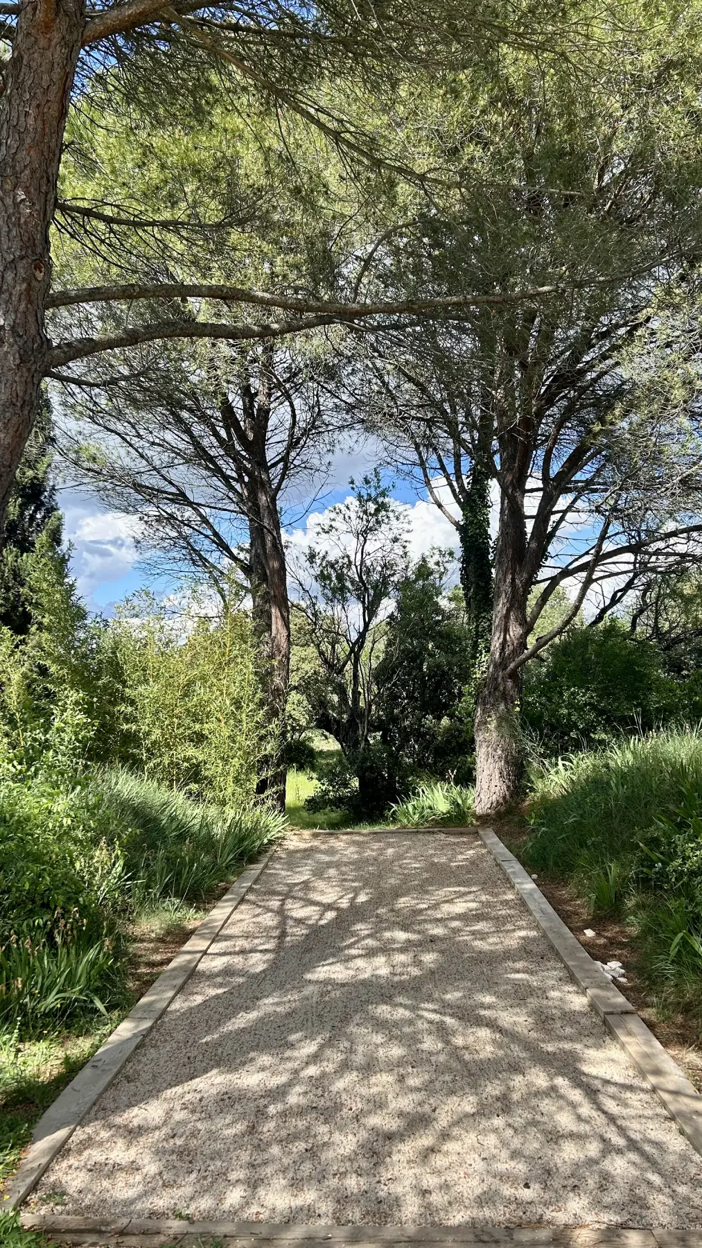 Jardins et terrasses